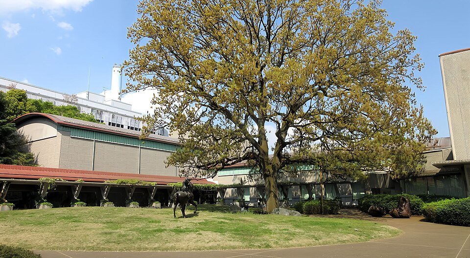 世田谷美術館